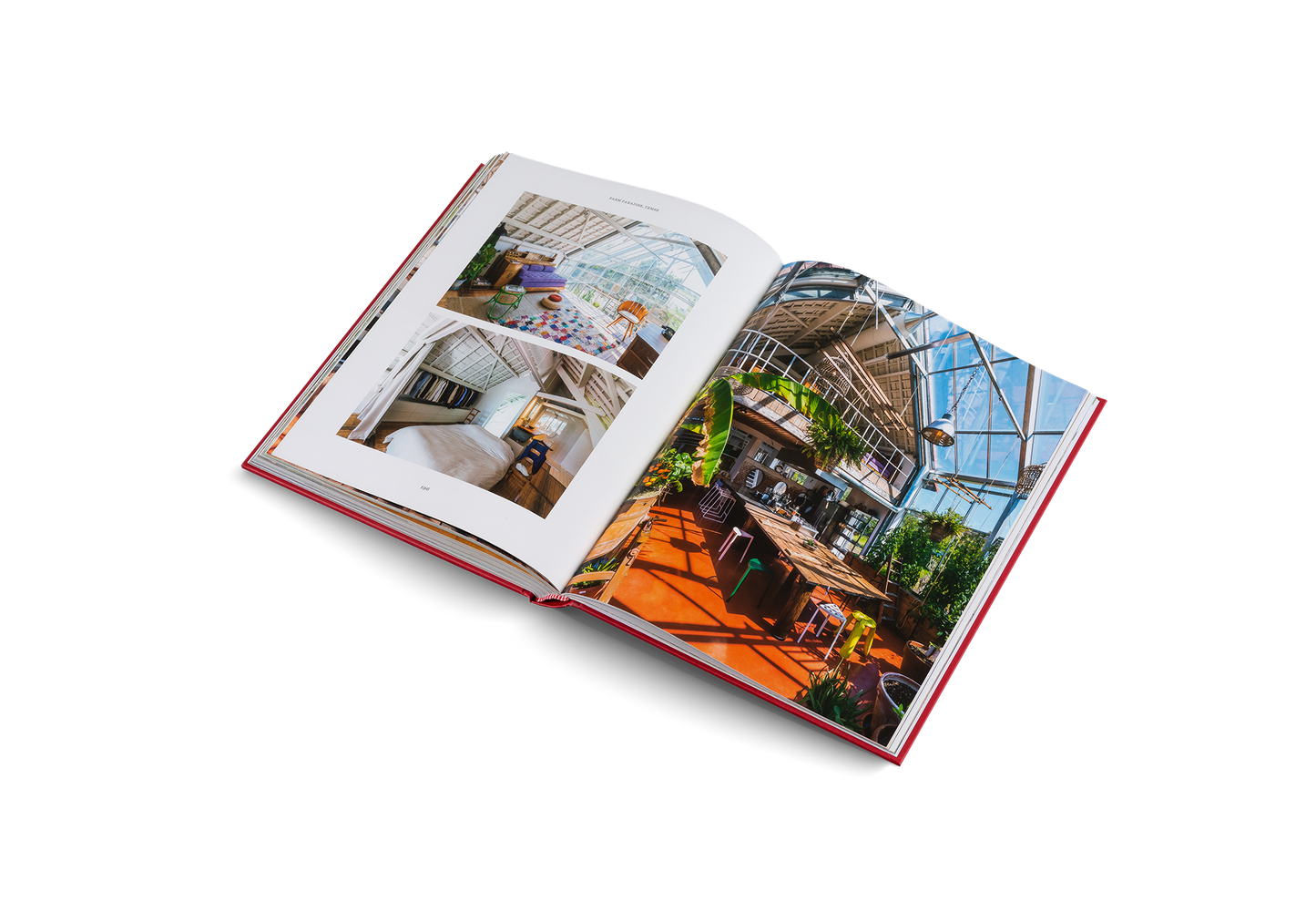 Creative Homes: Interiors and Design in Belgium