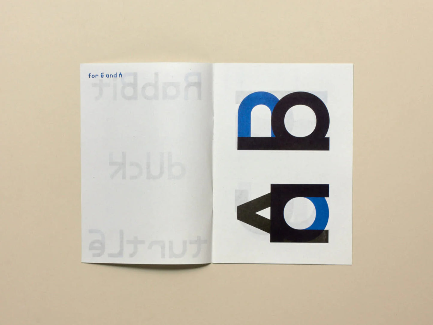 No.29: Rabbit Duck Turtle