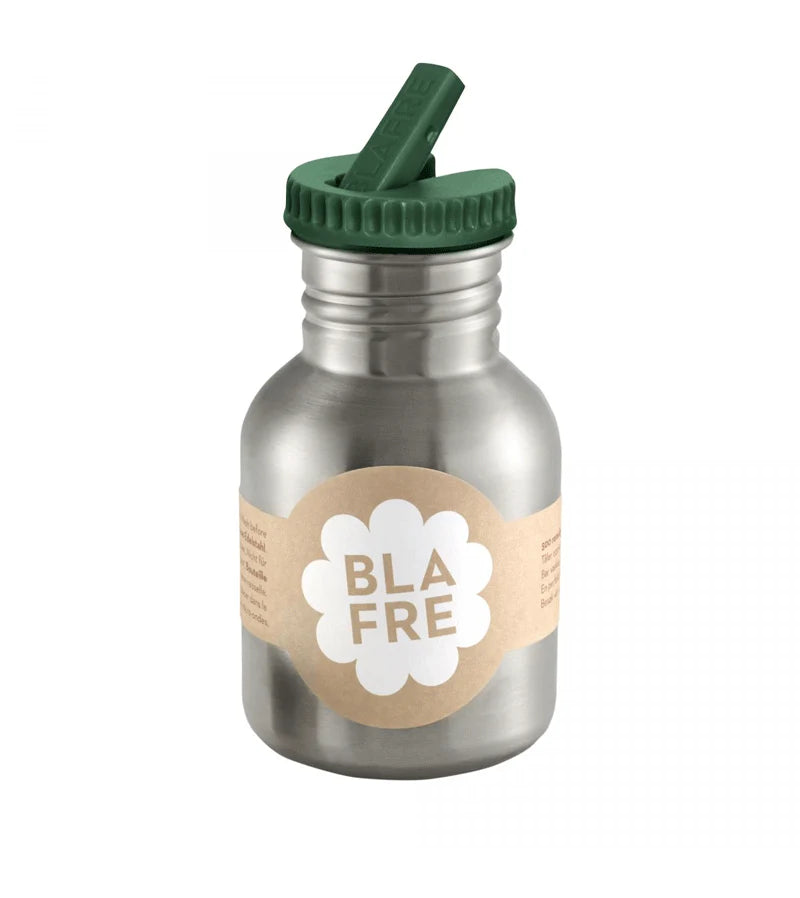 Stainless Steel Bottle - 300 ml Green (Spout Lid)
