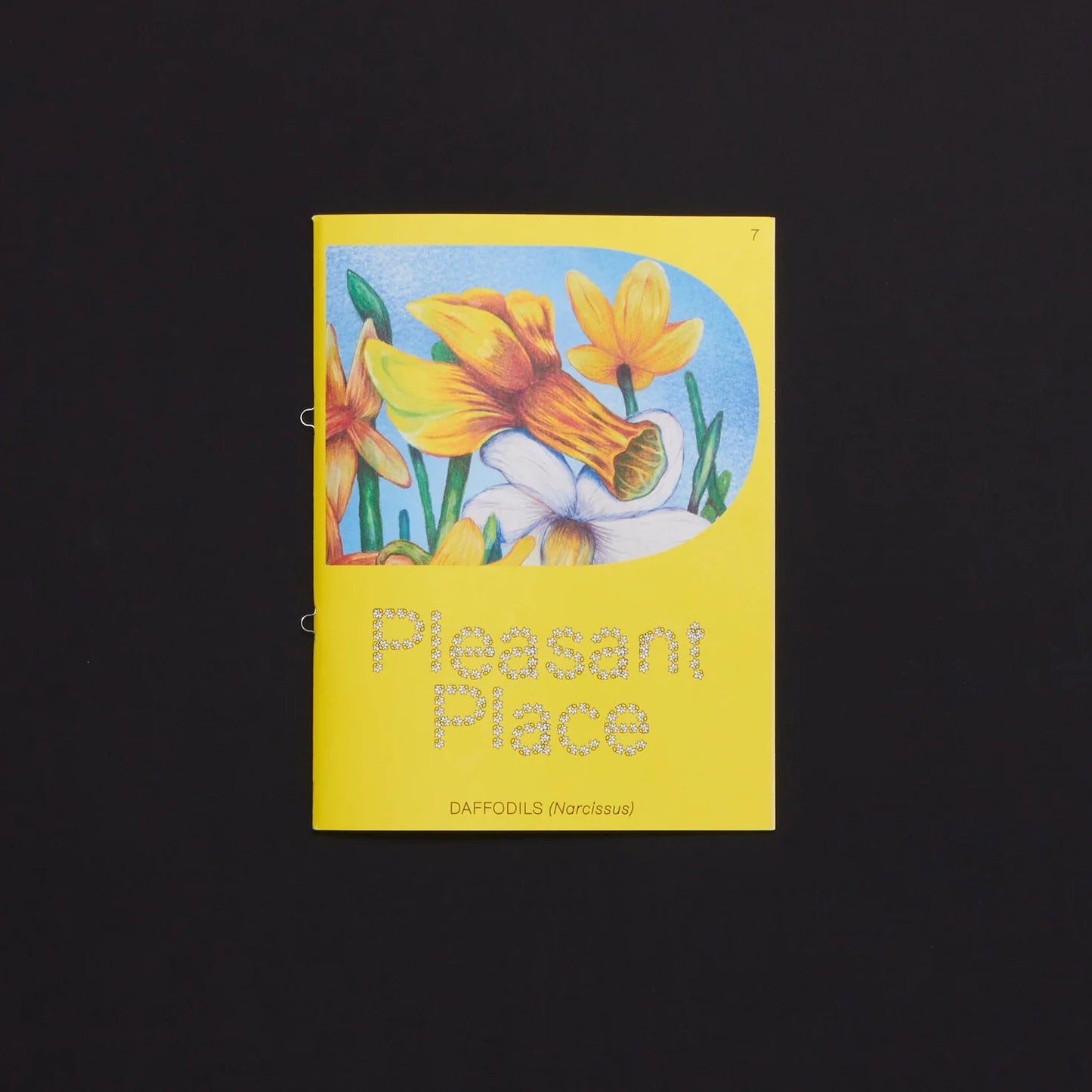 Pleasant Place Issue 7: Daffodils