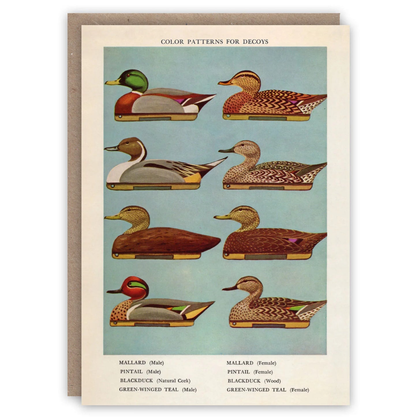 Decoy Ducks Card