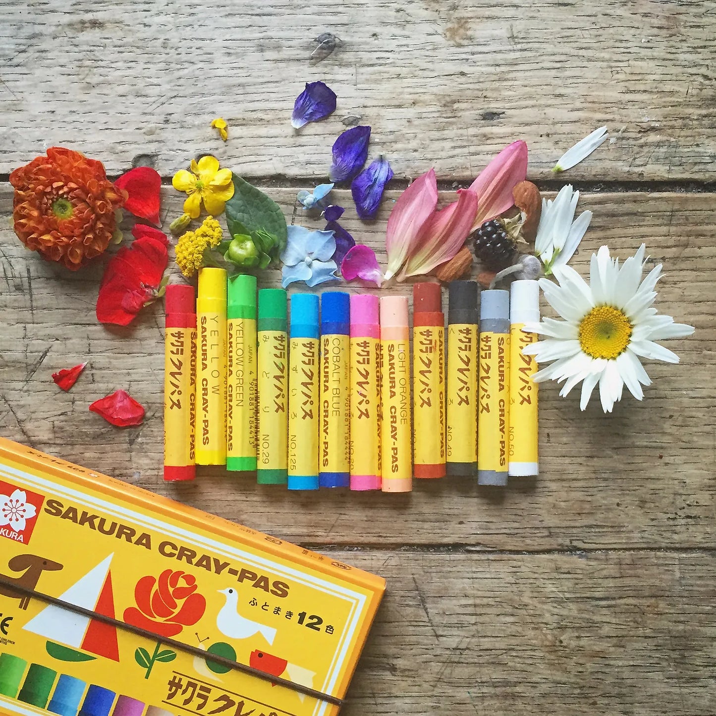 Cray-Pas Crayons