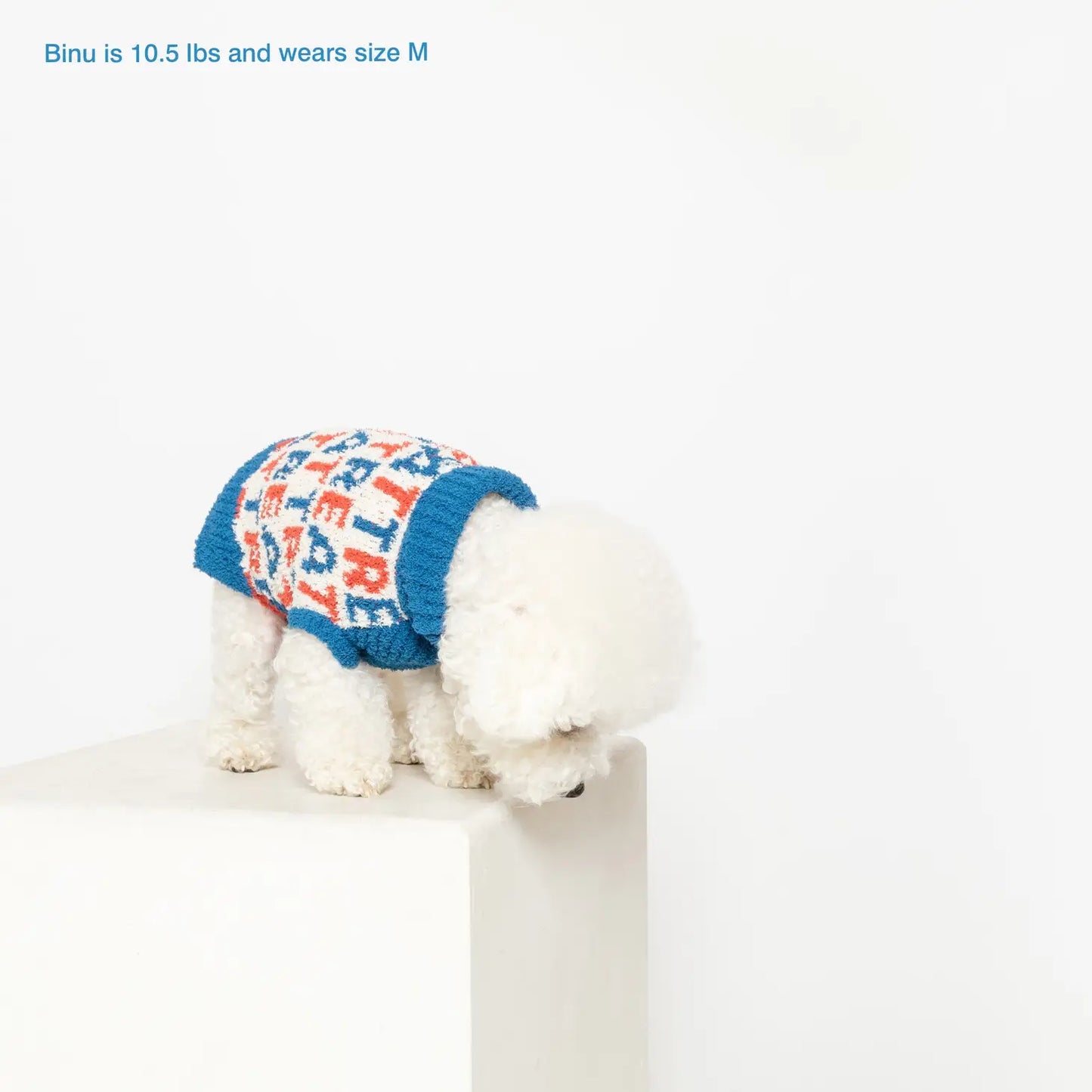 Treats Sweater - Small