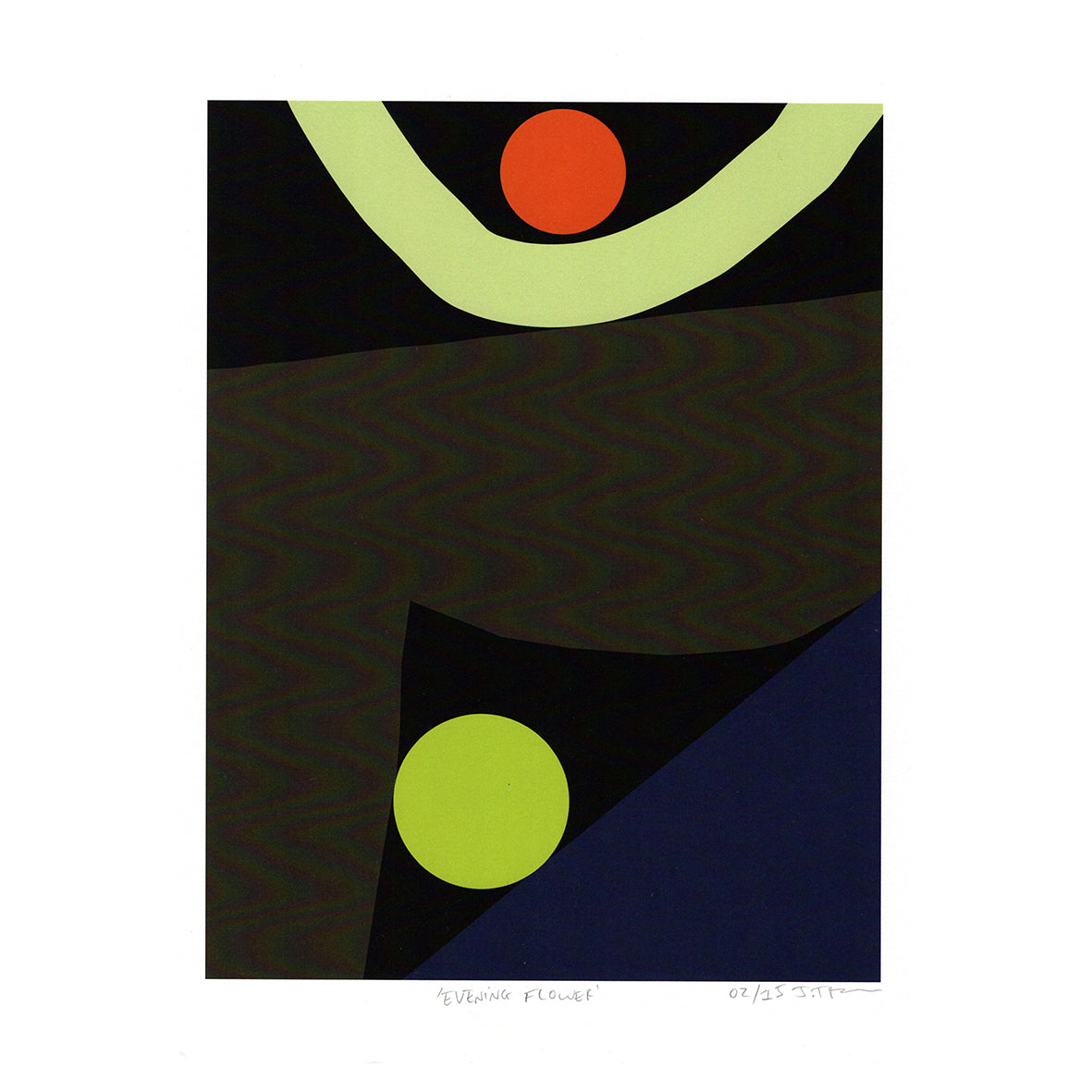 Evening Flower Print