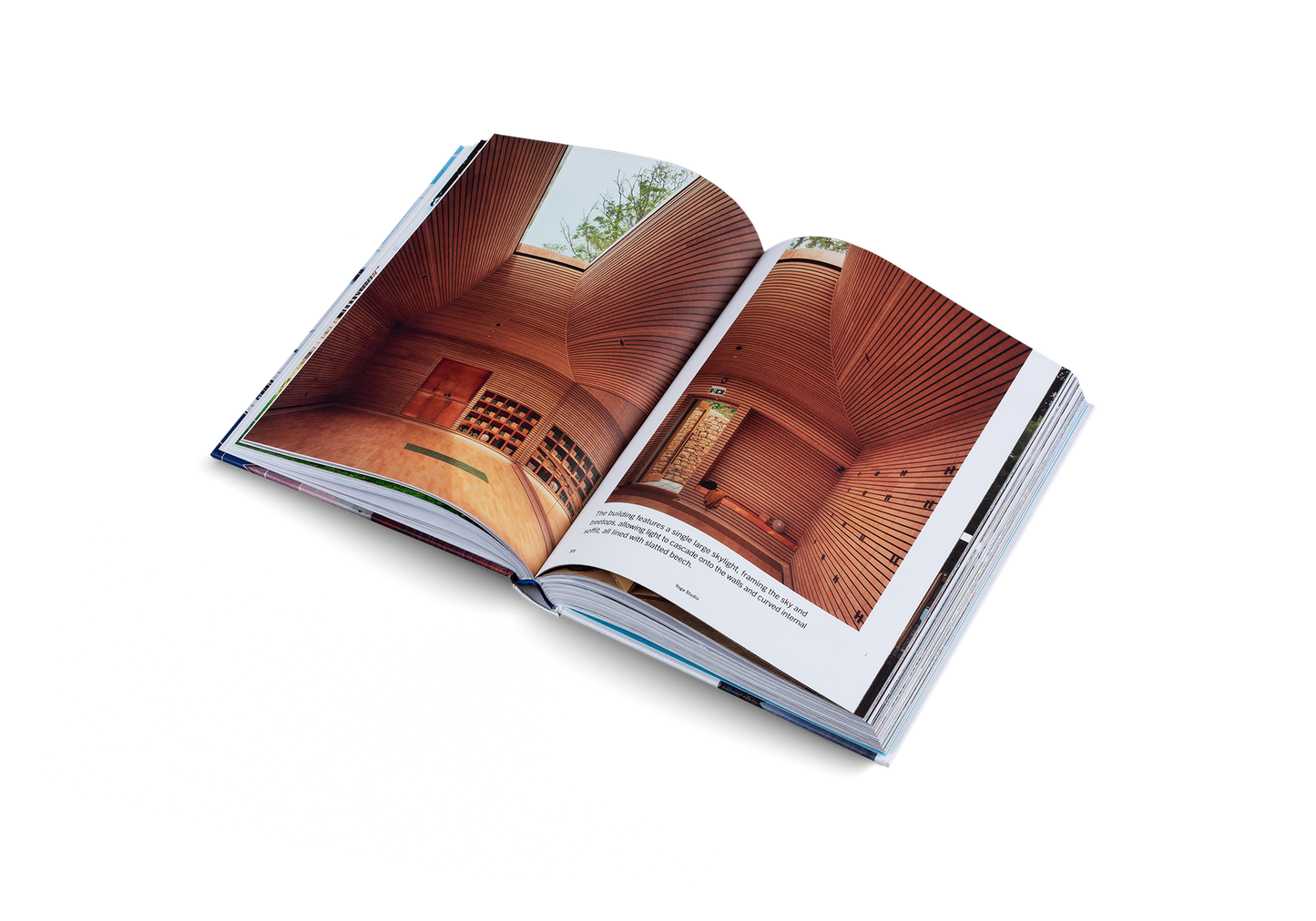 Circular Materials: Innovation and Reuse in Design