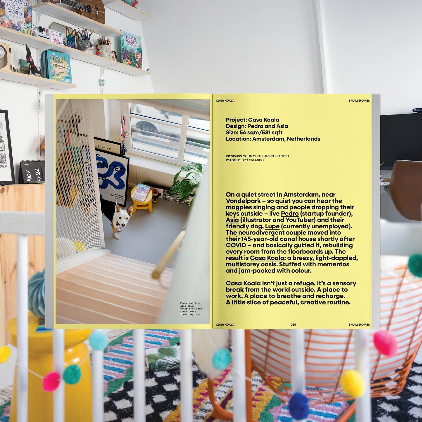 Never Too Small - Issue 6