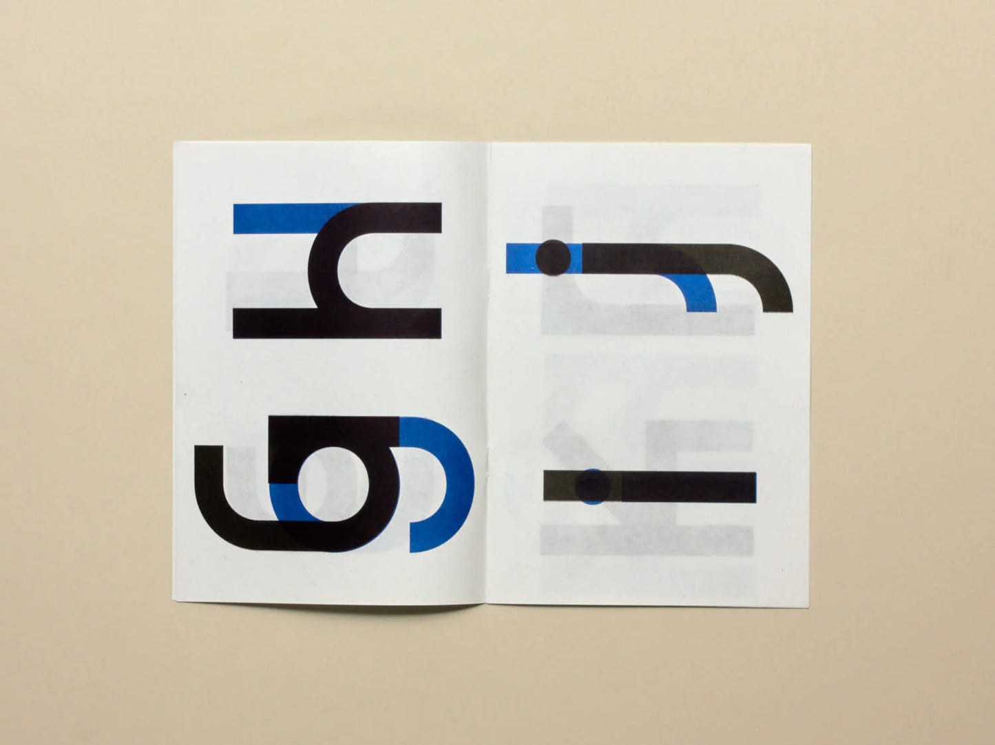 No.29: Rabbit Duck Turtle