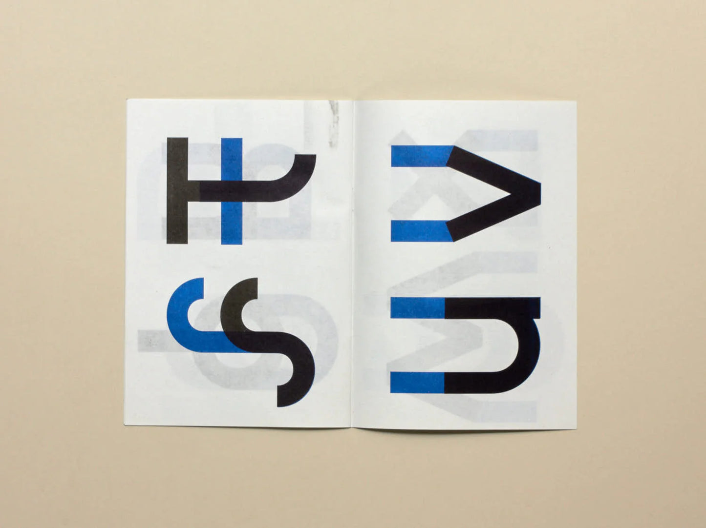 No.29: Rabbit Duck Turtle