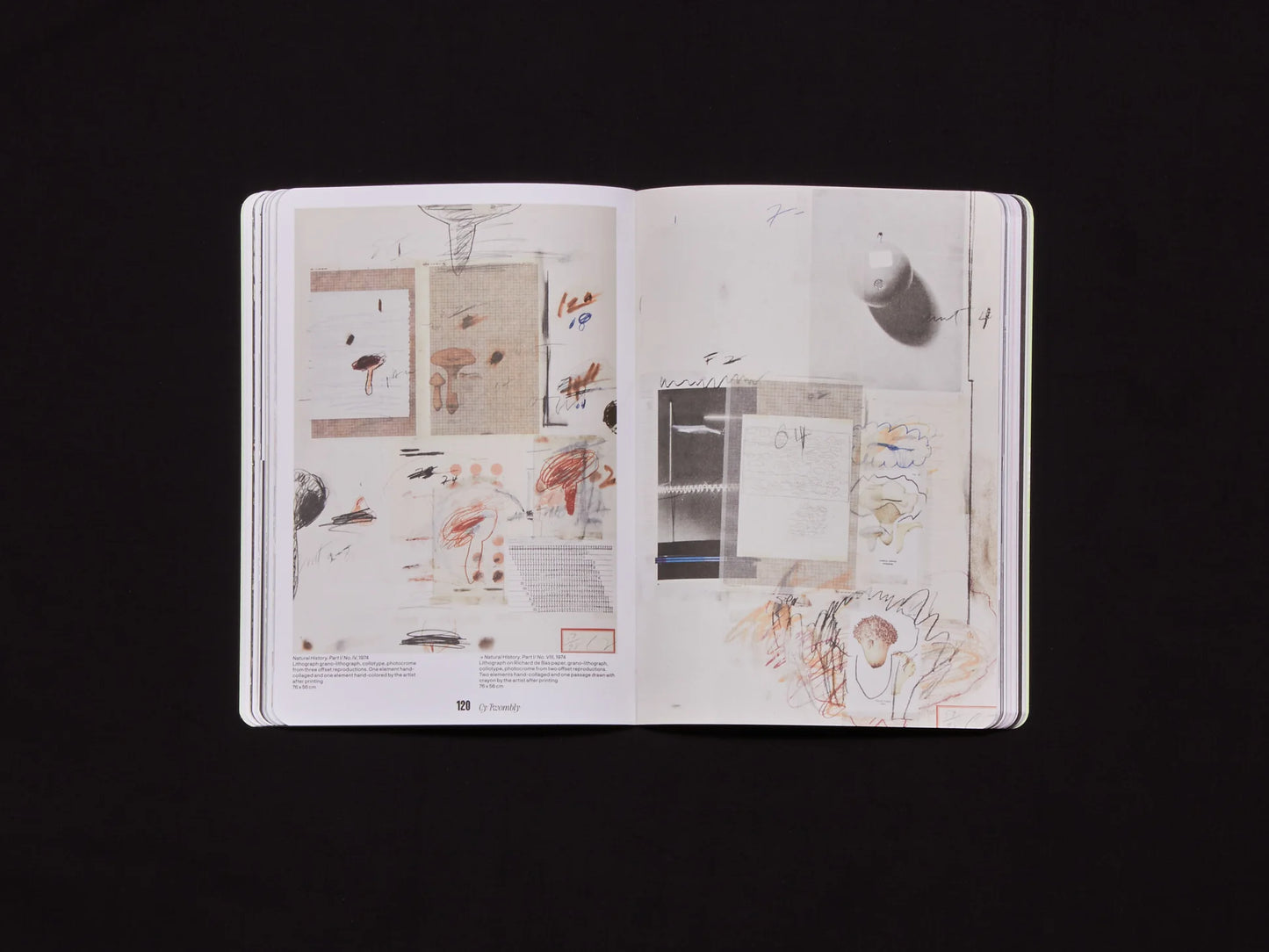 FUKT #22 – The Nature Issue