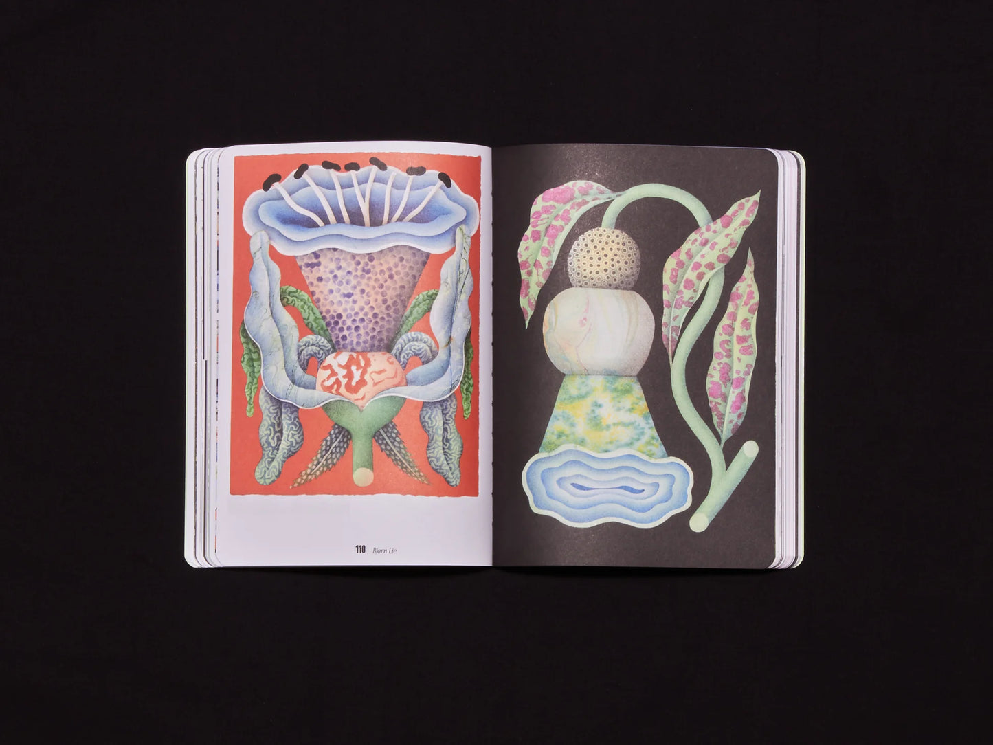 FUKT #22 – The Nature Issue