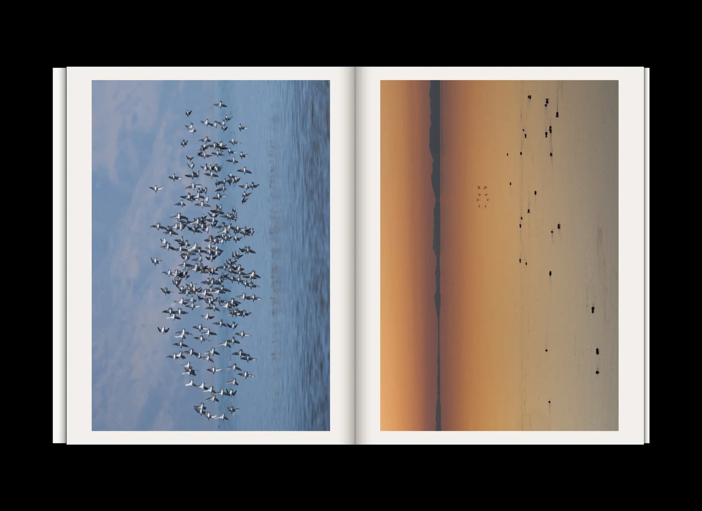 Emergence Magazine - Issue 6 Seasons