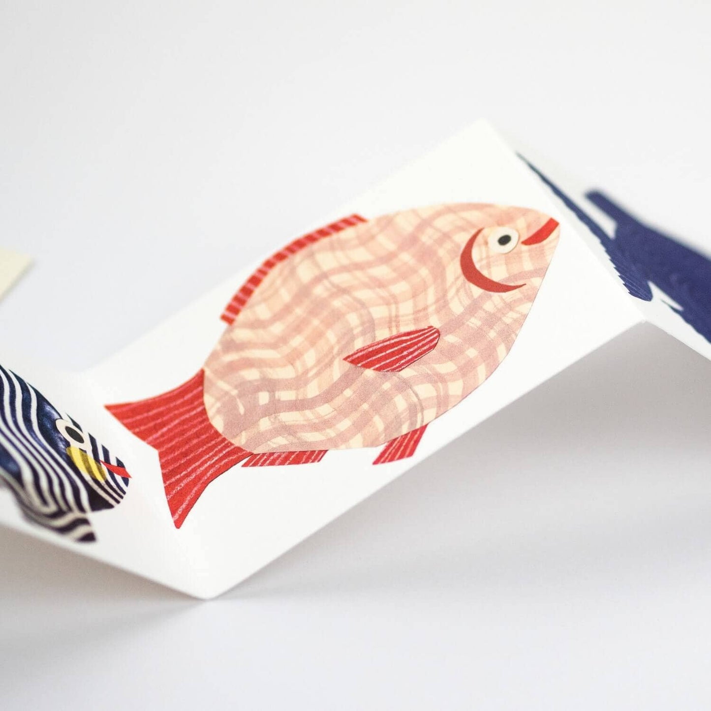 Fish Concertina