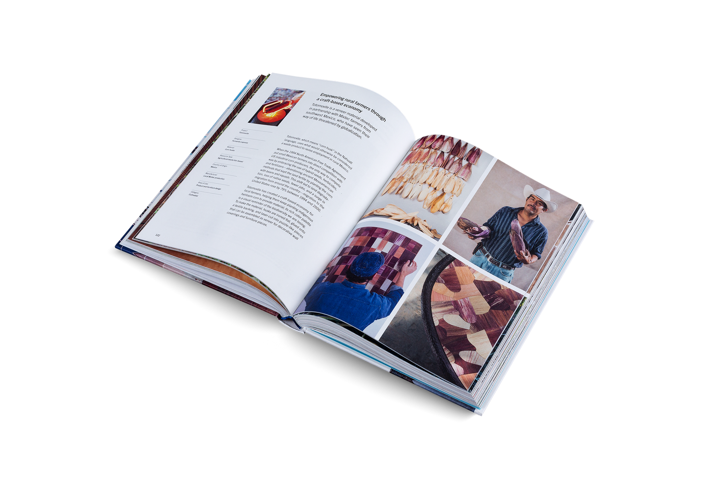 Circular Materials: Innovation and Reuse in Design