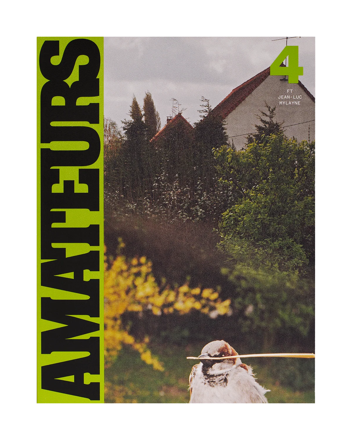 Amateurs - Issue 4