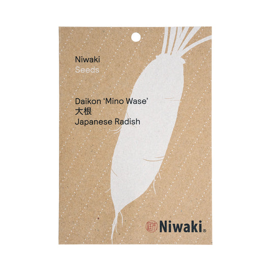 Daikon ‘Mino Wase’ Seeds - Japanese Radish