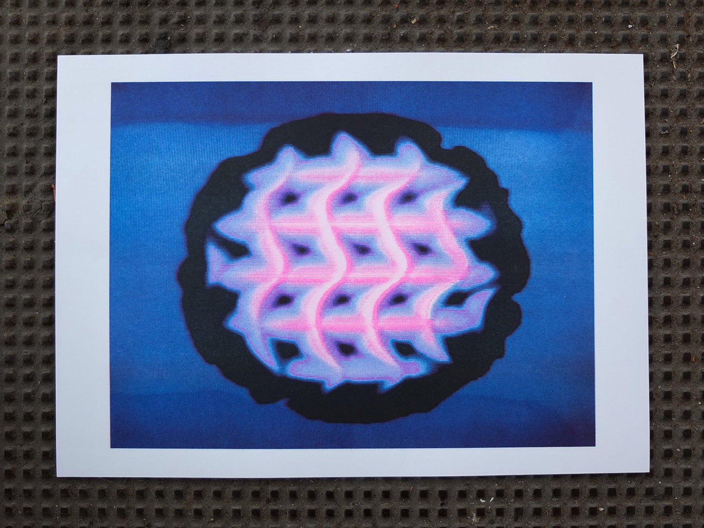 WAFFLE - TOMAS JEFANOVAS