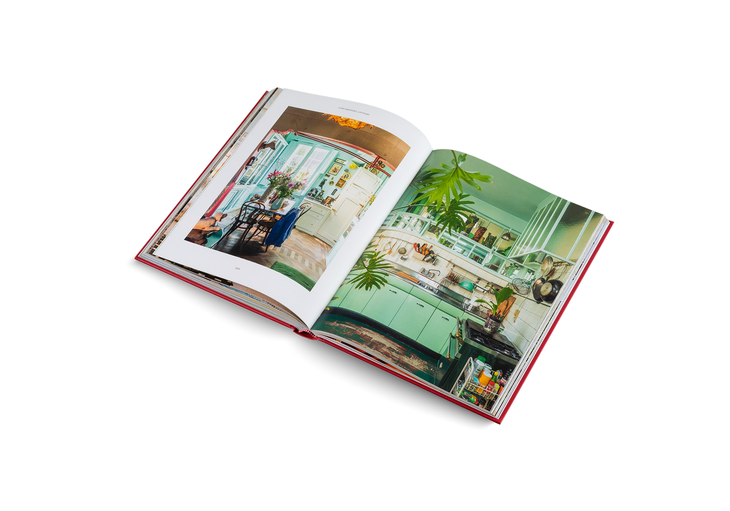 Creative Homes: Interiors and Design in Belgium