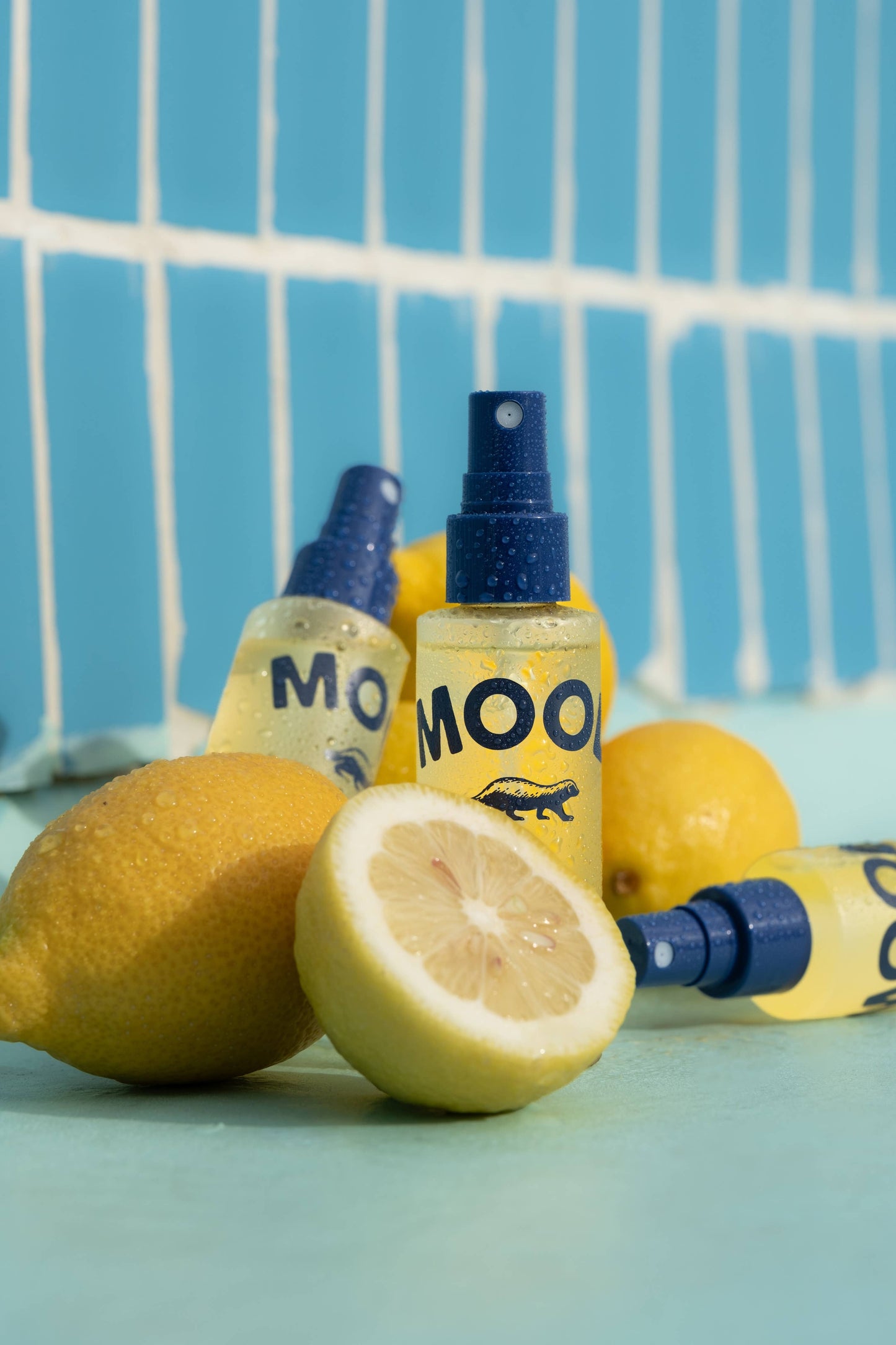 Collins - All Purpose Fragrance - Travel Mood Water