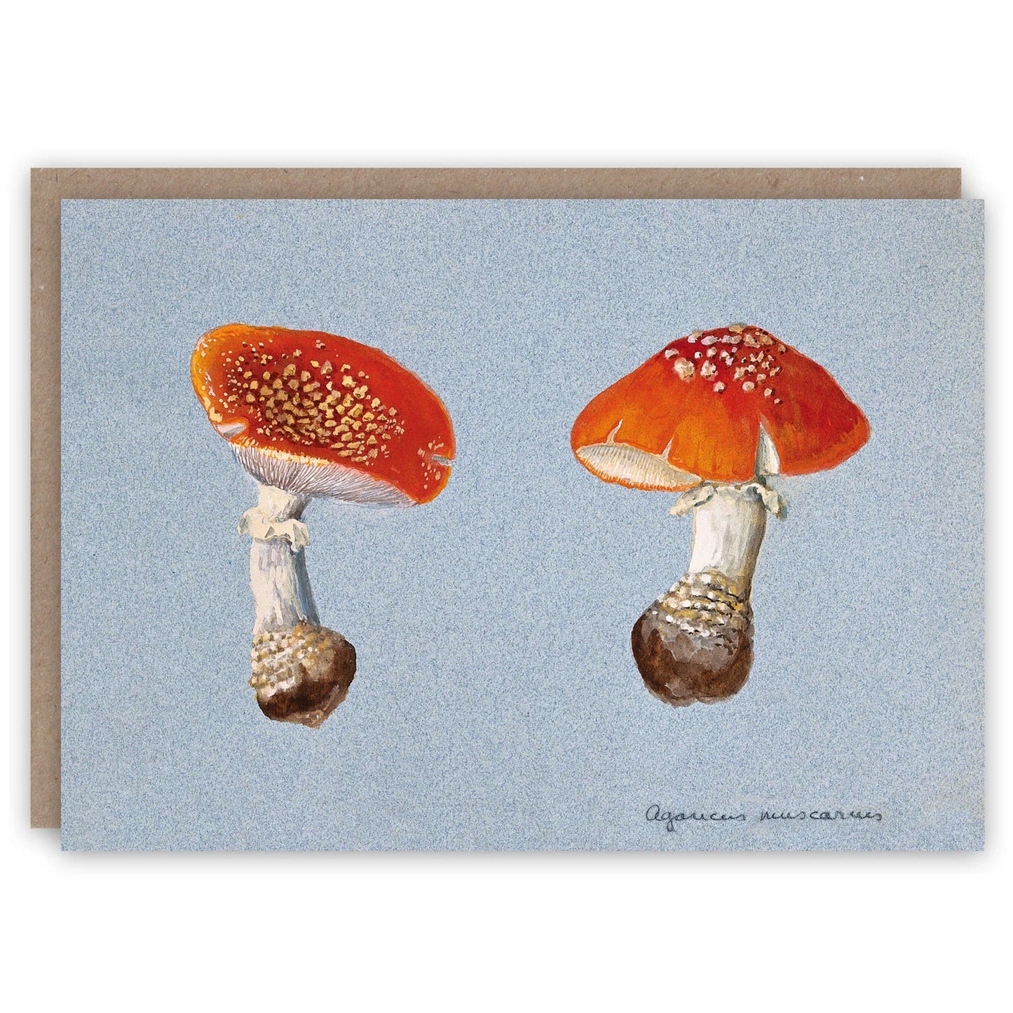 Fly Agaric Card
