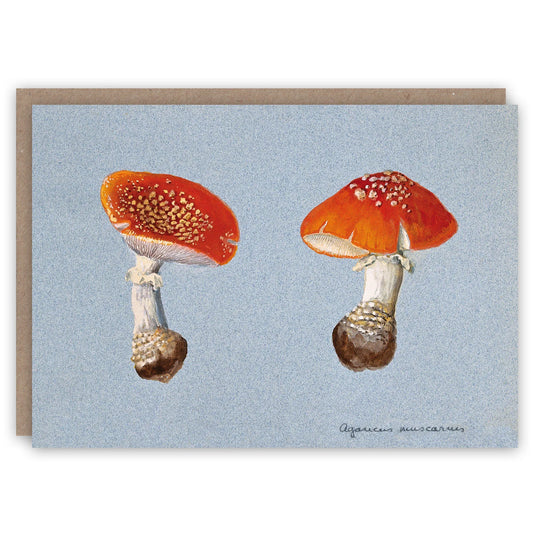 Fly Agaric Card