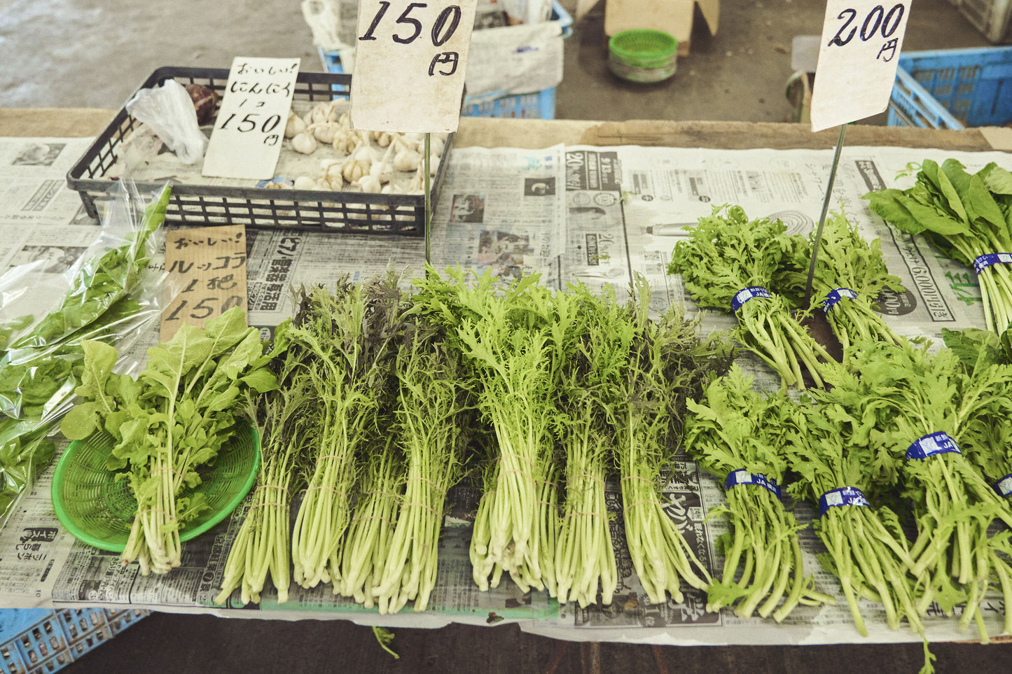 Mizuna Seeds - Japanese Mustard