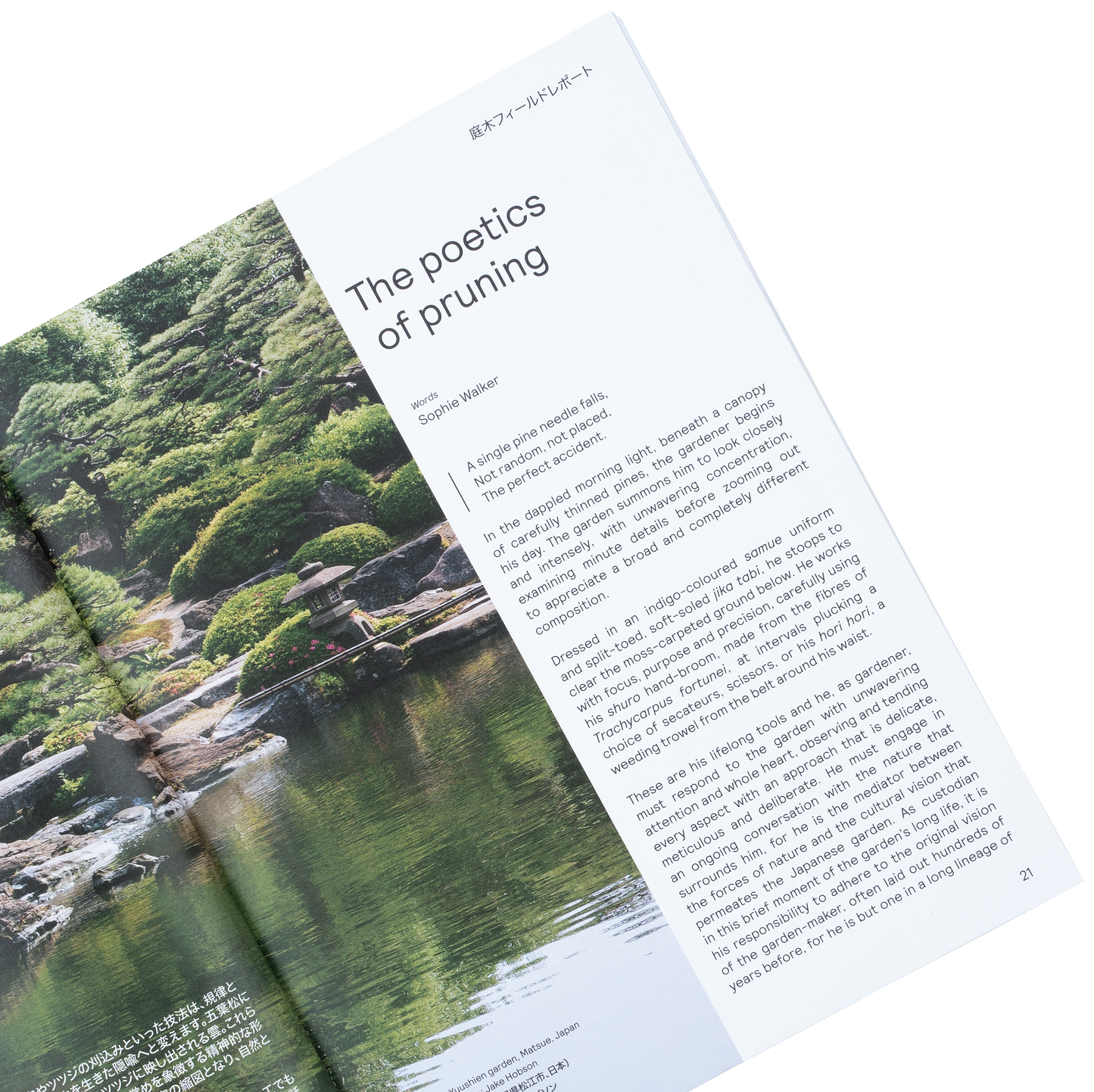 Niwaki Field Report No.2