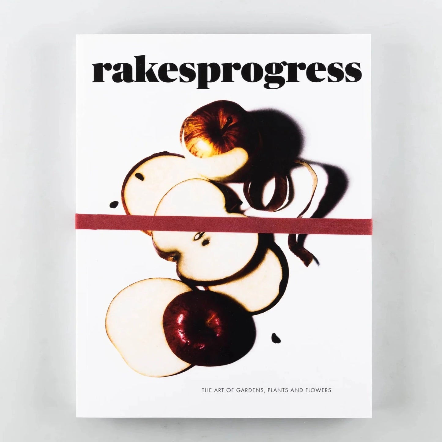 Rakes Progress - Issue 16