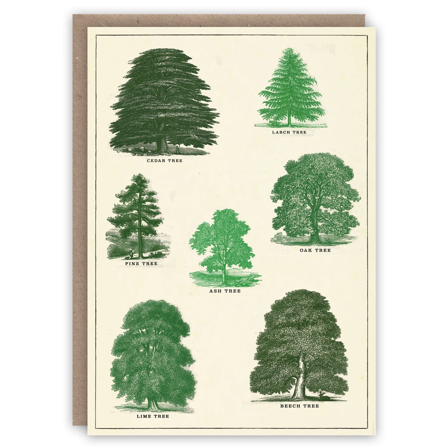 Trees Card