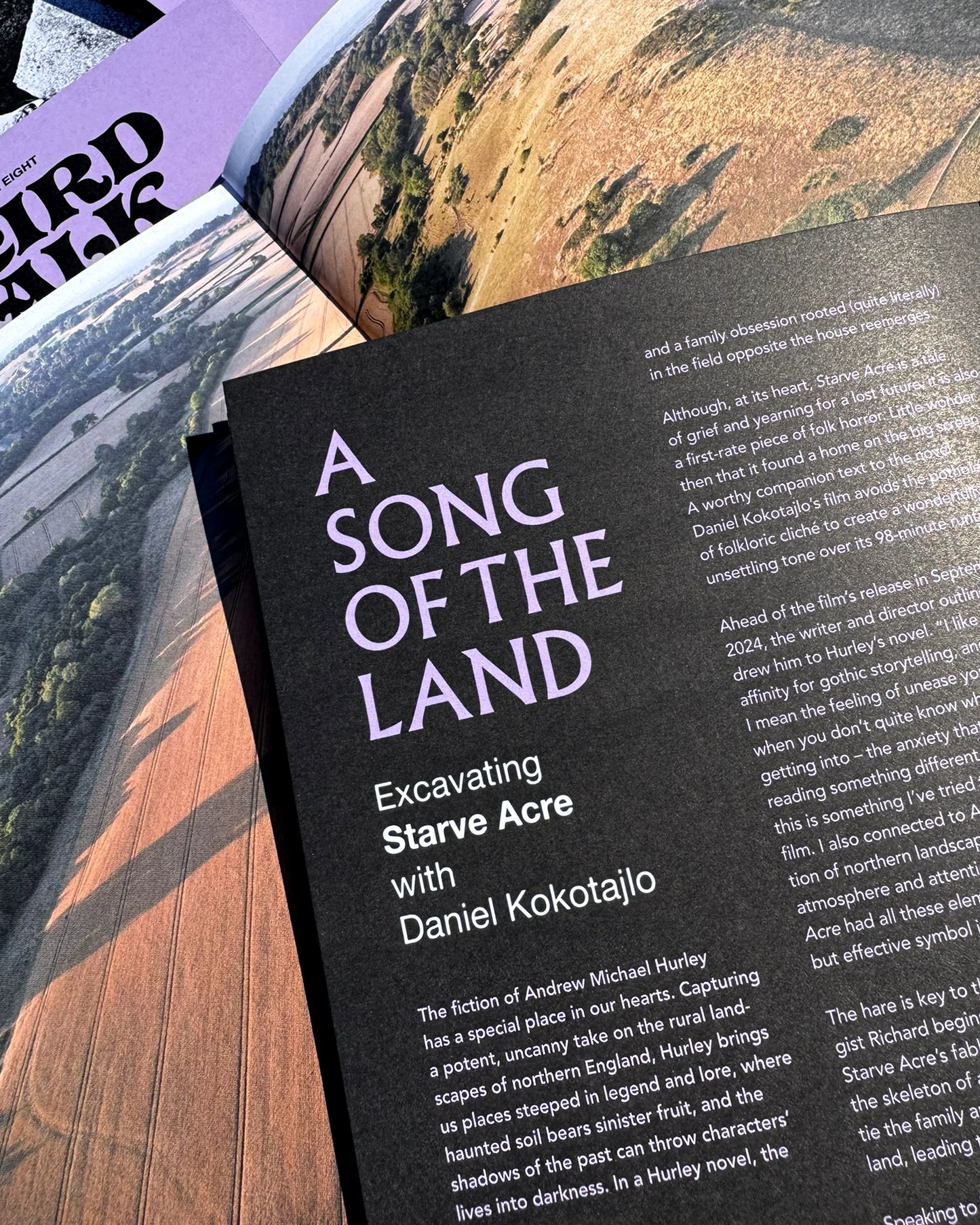 Weird Walk - Issue 8